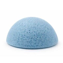 Konjac sieni Blueberry