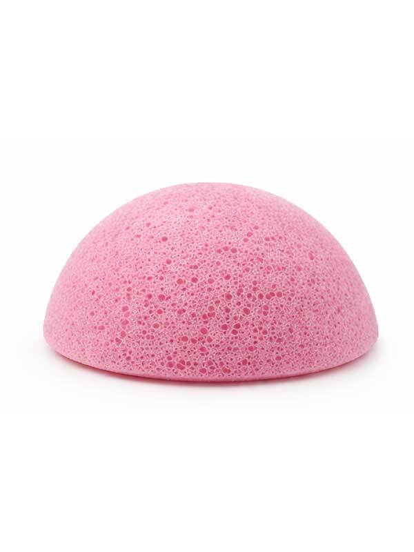 Konjac sieni Rose